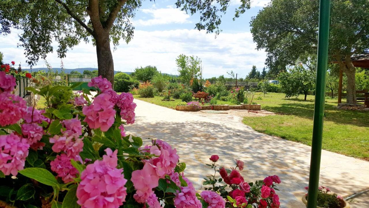 Village House Fafarinka - Close To Krka National Park Konjevrate ภายนอก รูปภาพ