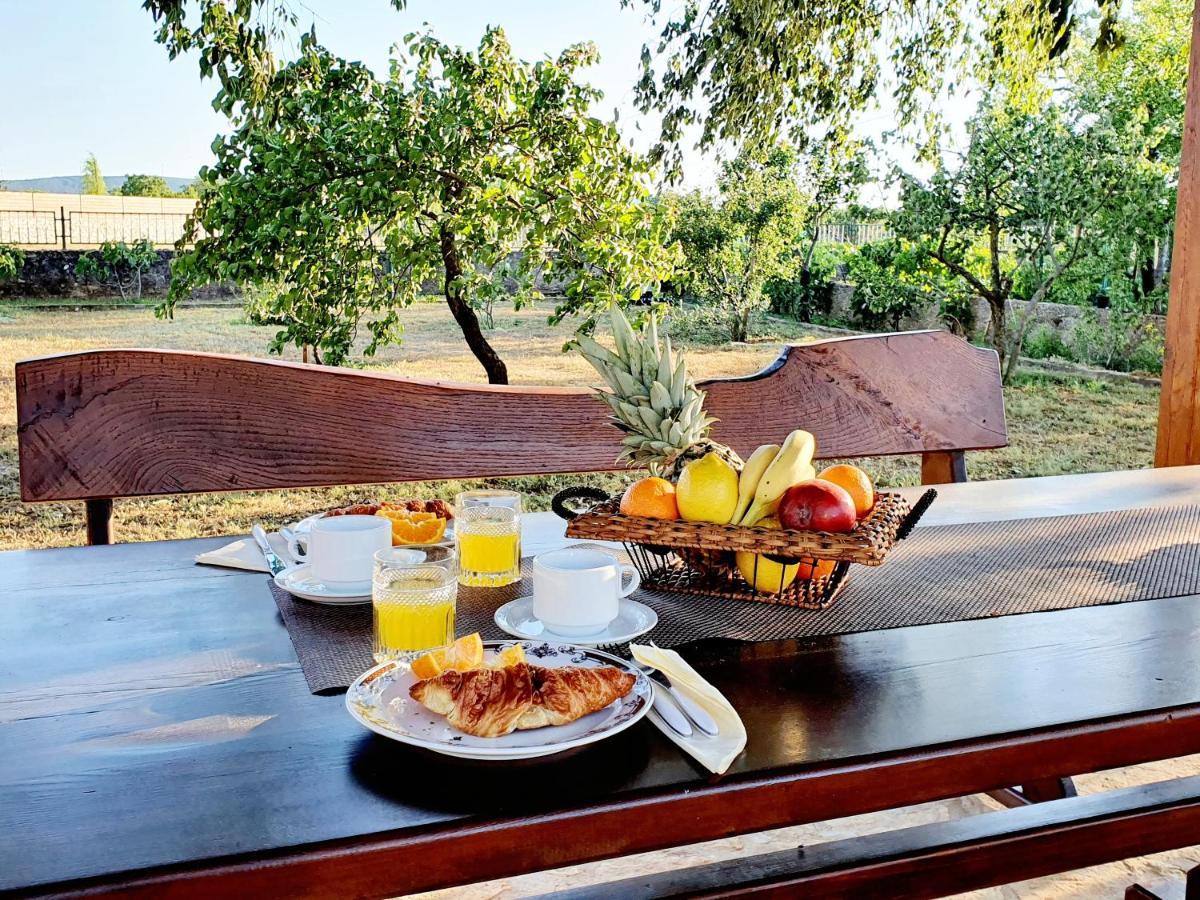 Village House Fafarinka - Close To Krka National Park Konjevrate ภายนอก รูปภาพ