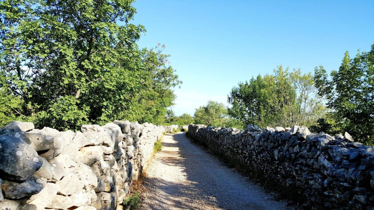 Village House Fafarinka - Close To Krka National Park Konjevrate ภายนอก รูปภาพ